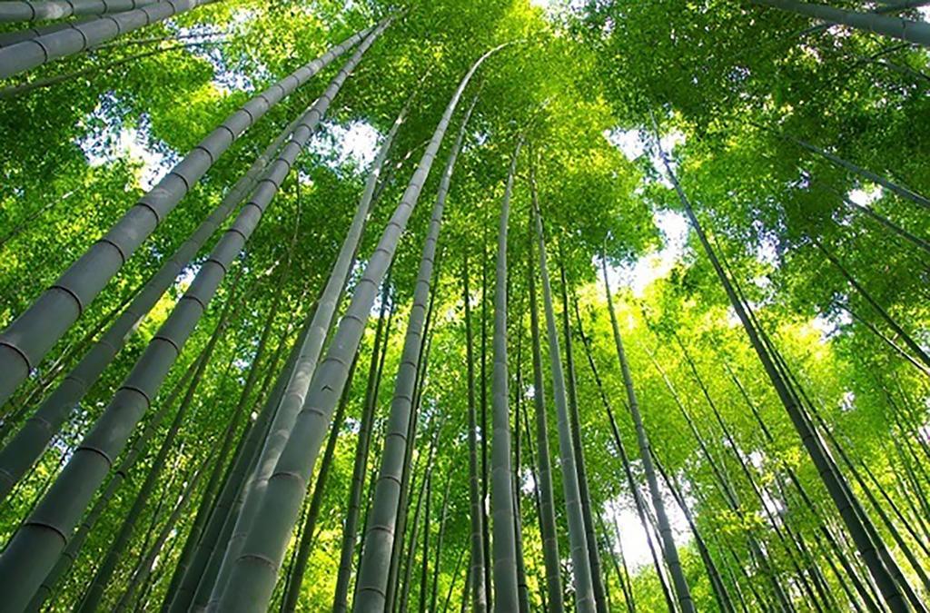 Апарт готель The Grandwest Arashiyama Кіото Екстер'єр фото